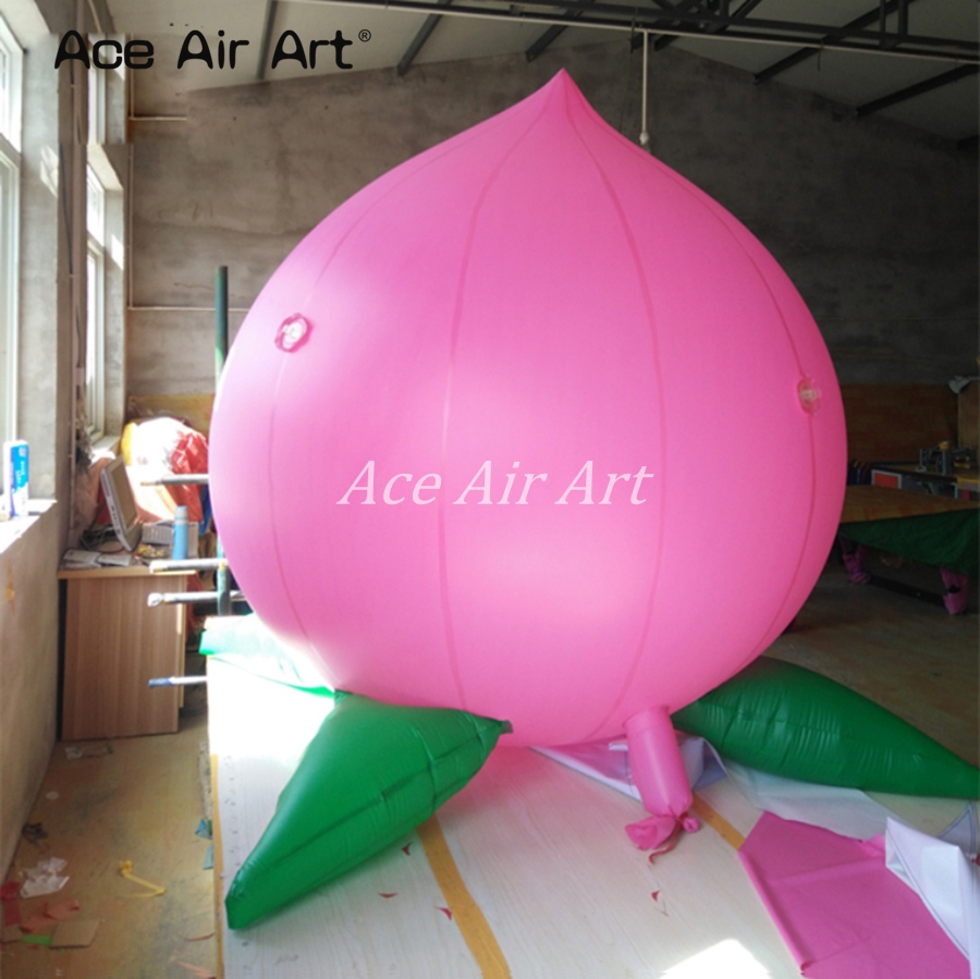 Advertising Giant Inflatable F - đánh giá và giá Agriculture Farming School
