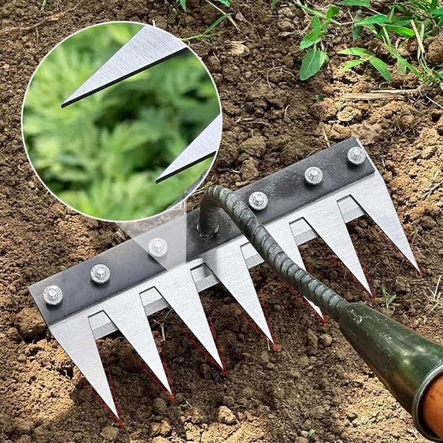 5/6/7/8 Teeth Metal Rake Garde - đánh giá và giá Agriculture Farming Hand Tools