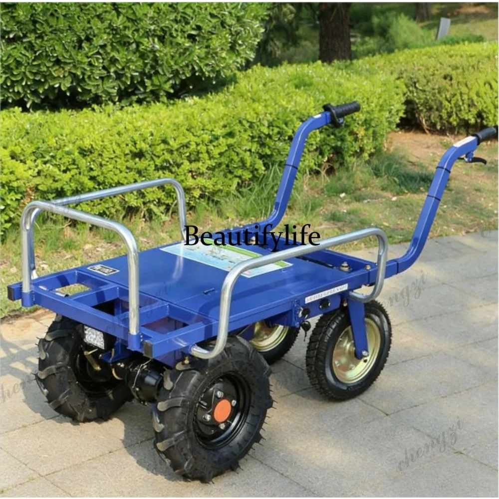 a55  Electric Tricycles and Fo - đánh giá và giá Agriculture Farming Livestock